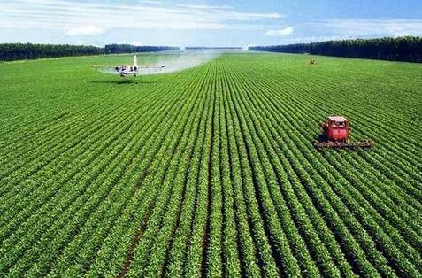 世界农业最强国：粮食产量位居世界第二，一个农民可养活100个人