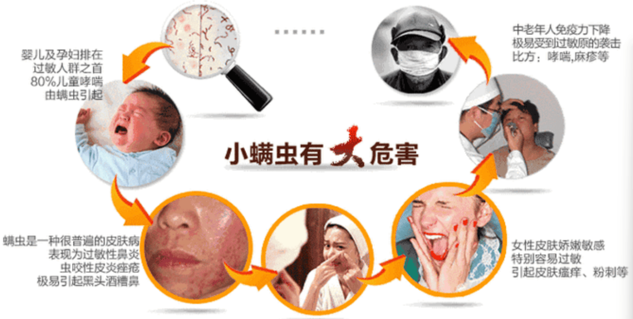 除螨仪真的有必要买吗？除螨仪哪个牌子最好最实惠？实测分析床上除螨仪十大名牌排行榜