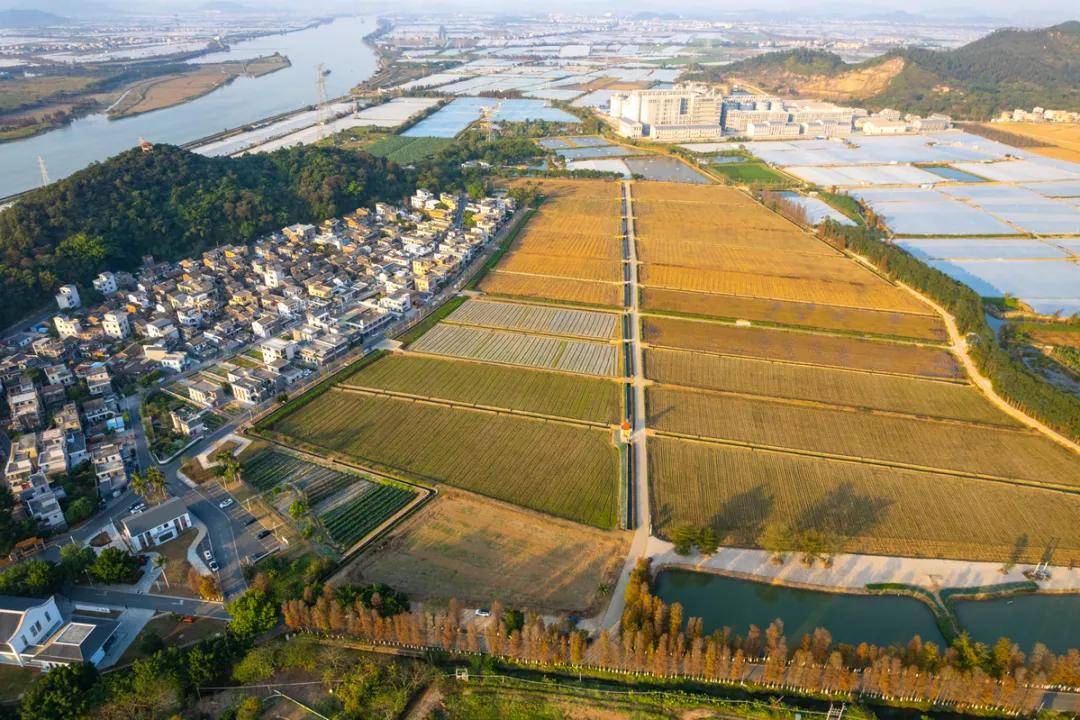 珠海，全省唯一获国家级推广！(图7)