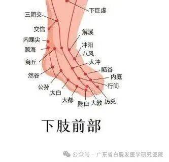 生活压力别硬扛,广州恒健白发专科罗教授分享!