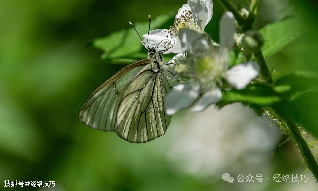 原创            把脚上这根筋揉开，像解开一个结，把肝中的闷气统统疏泄出去