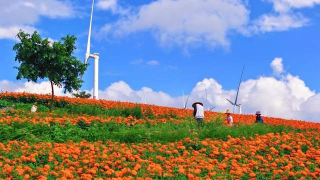 担心小脑萎缩找上门？每天 10 分钟，做好这件事