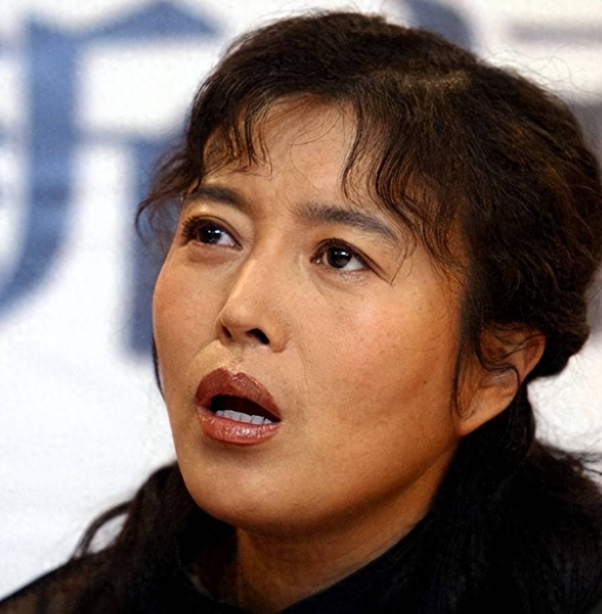 丁嘉丽早年婚姻坎坷66岁依旧单身