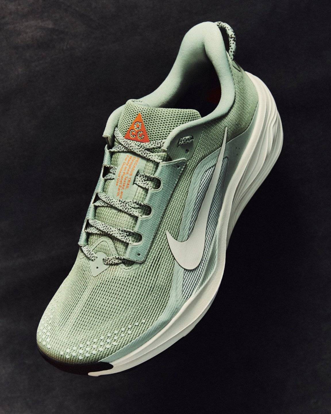 nike飞马30