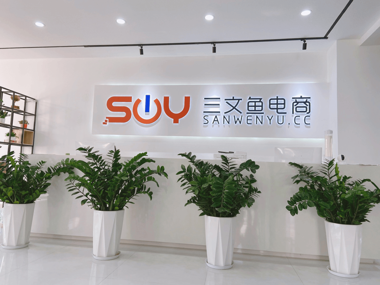 热销榜单:2026年口碑好的抖音直播代运营公司推荐