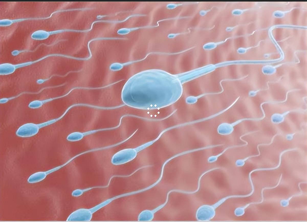 36岁流产三次,医生：老公太老！研究：男人30岁后精子开始衰老