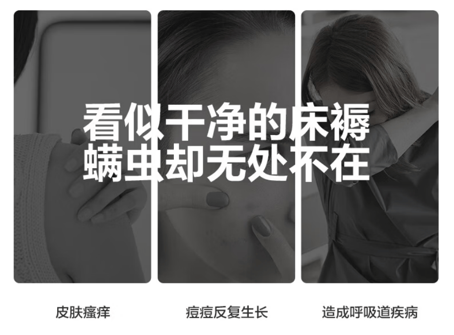 除螨仪哪个品牌最好？家用除螨仪什么品牌的好？内行人揭秘十大公认好用的除螨仪，放心选！