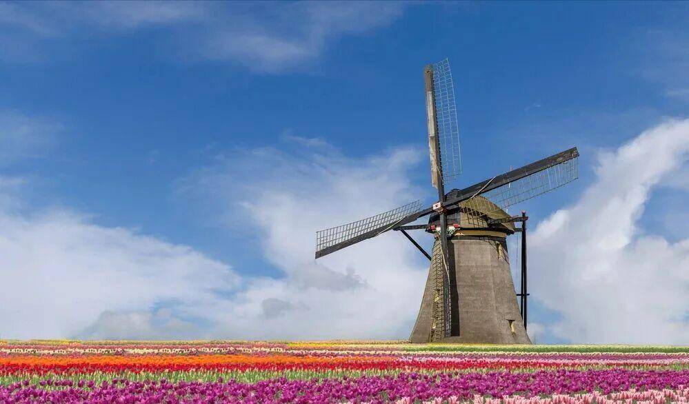 图片[5]-全球幸福指数最高的国家 -华闻时空