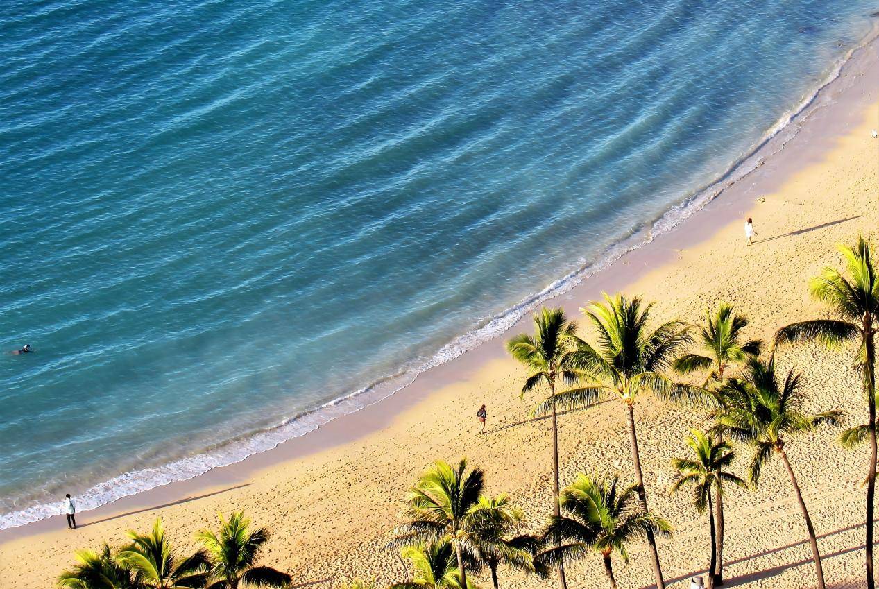 花瓣素材_希尔顿Hwn村周围的各种场景拍摄于33楼和一些威基基Bch，威基基，瓦胡岛，嗨_155797536(1)