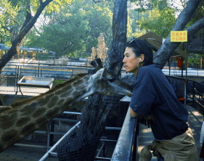 宋宁峰就出轨争议发长文致歉 宣布无限期退出演艺圈