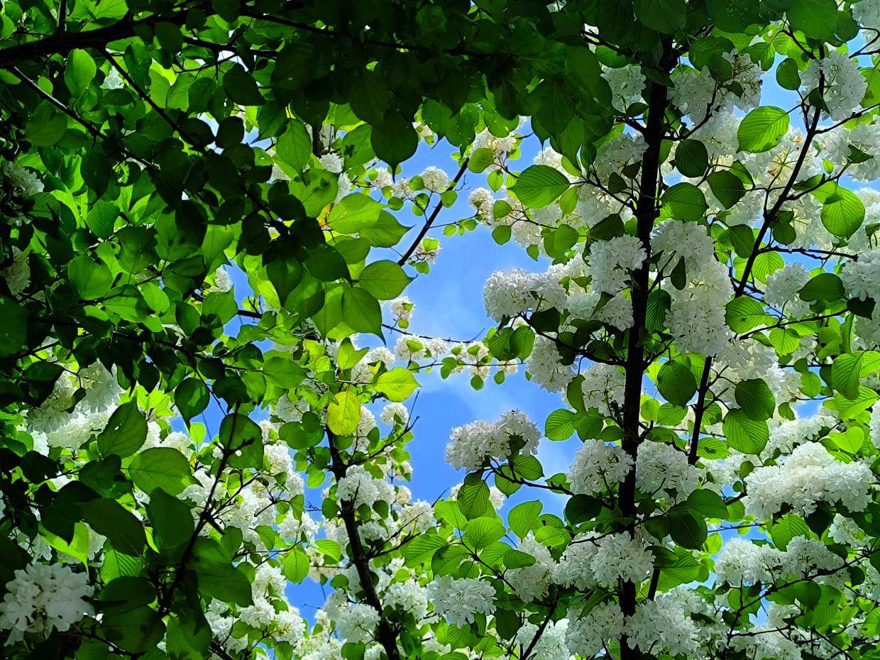 2026年产品经理如何全面提升业务知识?关键步骤、系统方法与核心能力提升路径