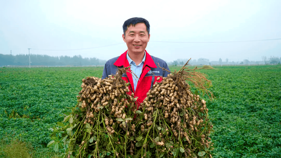 临泉县乡合农服负责人祁伟:从种子到大树,他走了五年