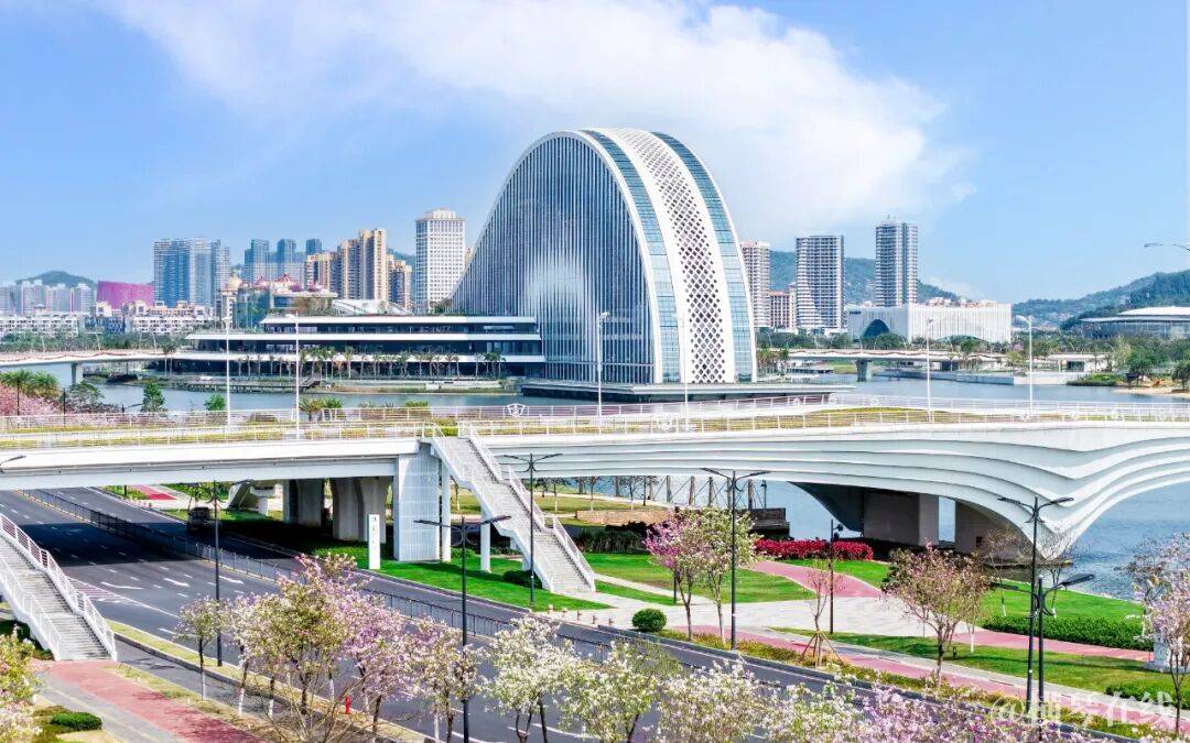 不止于「发补贴」，横琴人才新政背后是一盘更大的棋(图1)