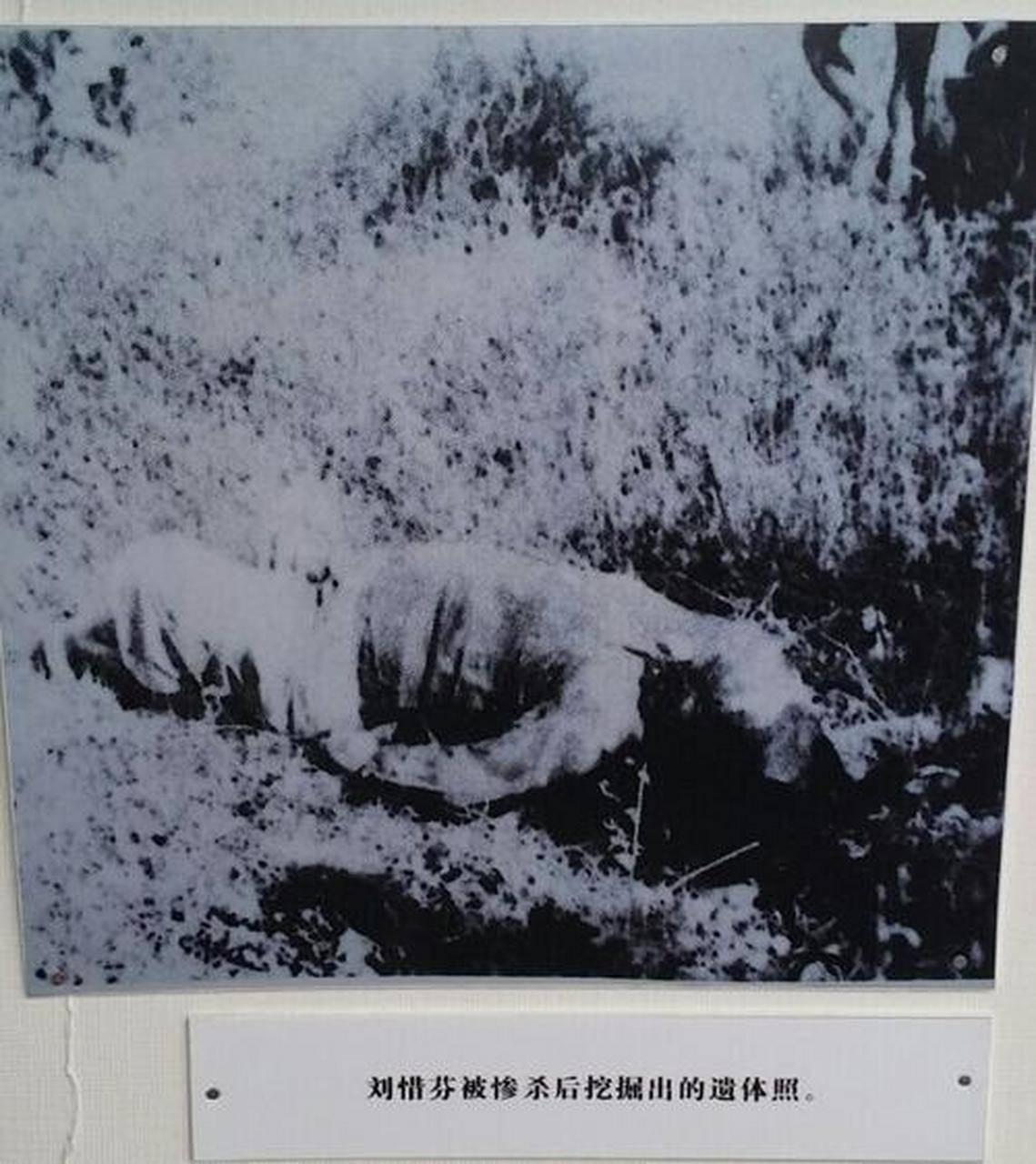 她被捕后遭受下流的酷刑牺牲前留给难友4个字向女烈士致敬