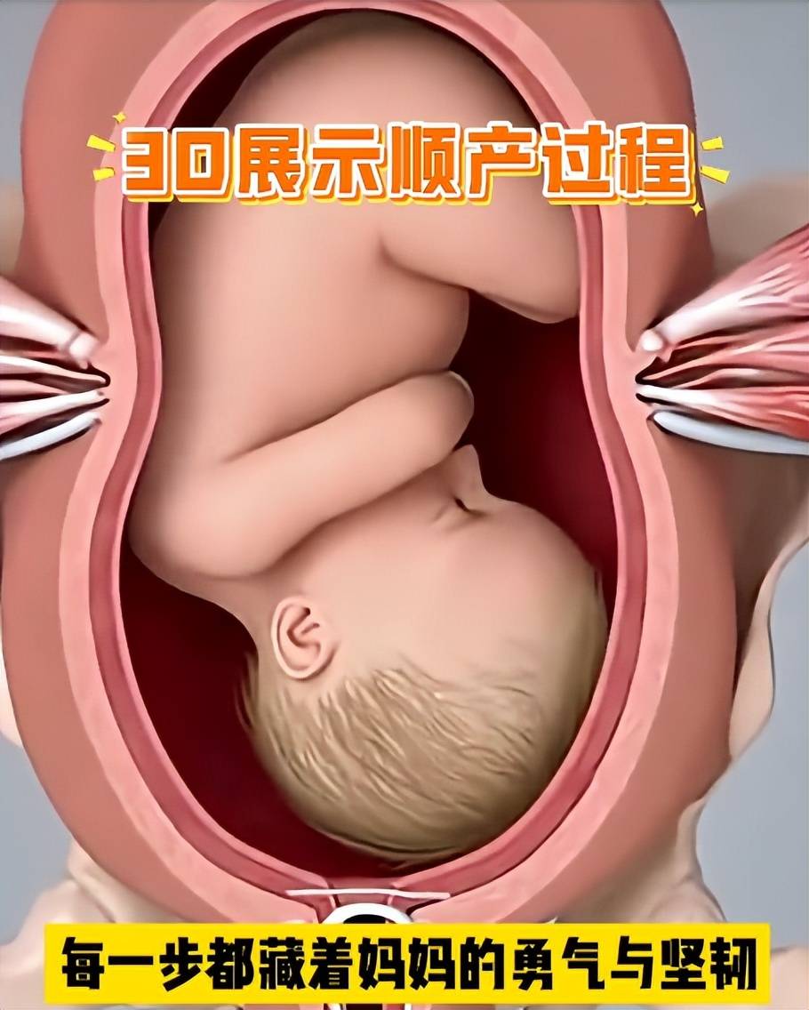 顺产的时候宝宝在子宫里干嘛？这张图告诉你
