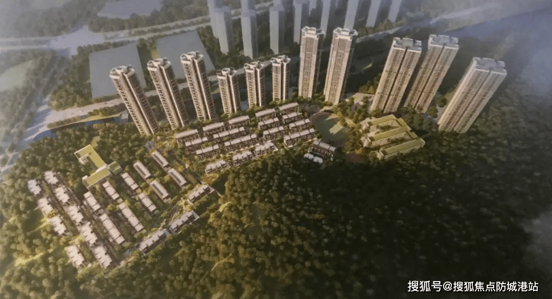 园林树木批发