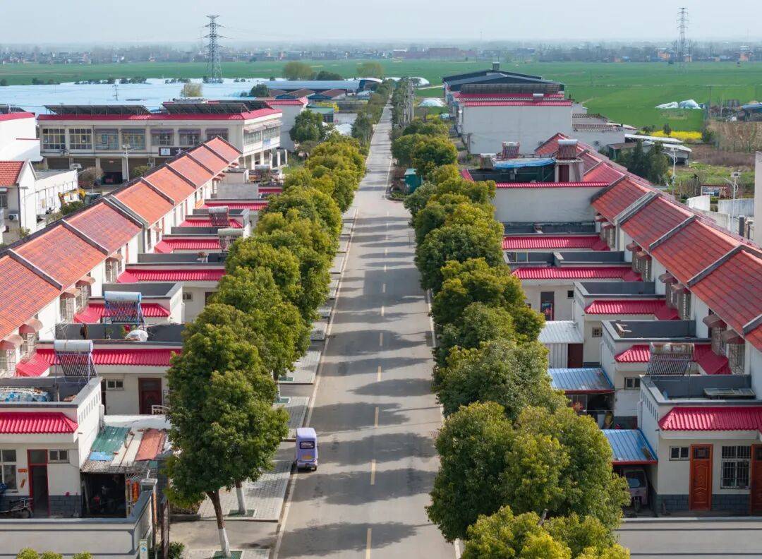 红瓦新房，淅川县邹庄村新貌。.jpg