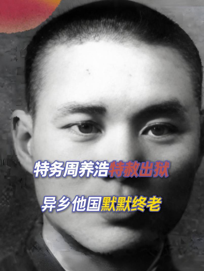 1975年,特务周养浩特赦出狱,异国他乡默默终老