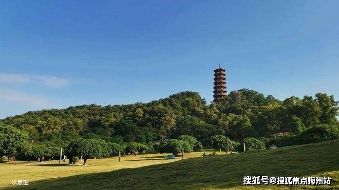 文章配图-1