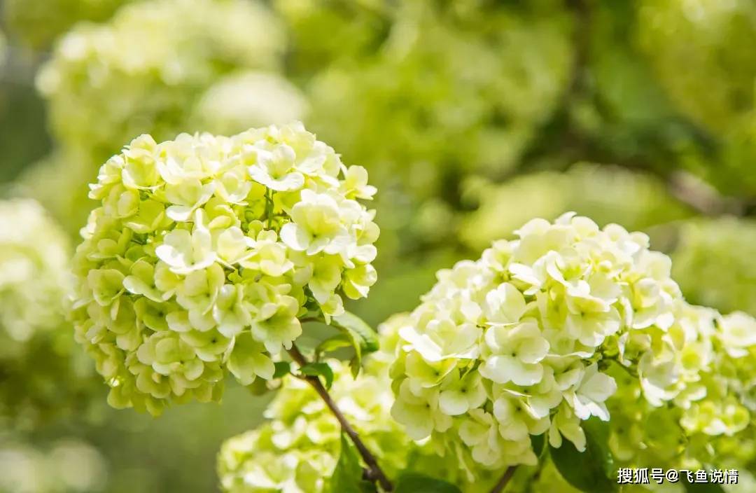 原创            一个男人，不主动联系你，也不说算了，真实的原因是这样的