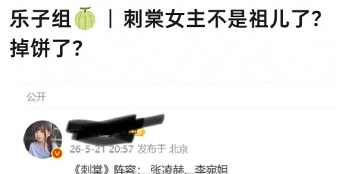 原创            张凌赫《刺棠》李宛妲换宋祖儿！原著女主卖肉复仇很扭曲