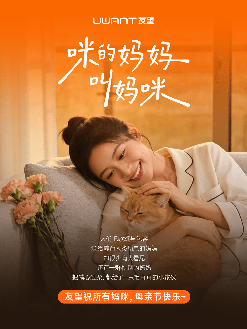友望为“猫咪妈妈”发声：看见那个被忽略的角落