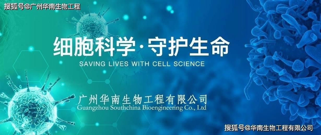 埃博拉病毒试剂