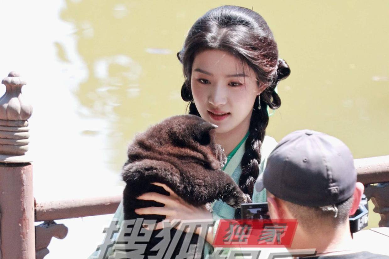 卢昱晓片场温柔撸狗 与小黑狗互动画面暖人心