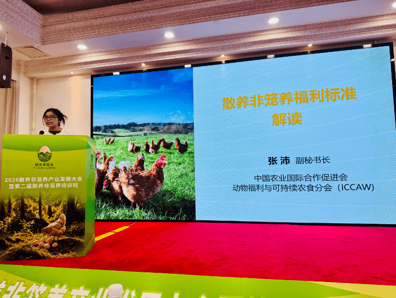 传承二十年 业绩耀韶关(图3)