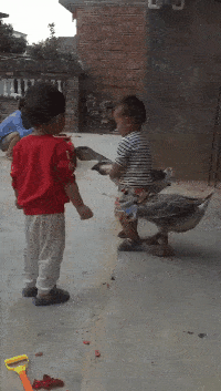“姑娘穿裙子的时千万不要站在强光下,旁边的大爷都看傻了”哈哈