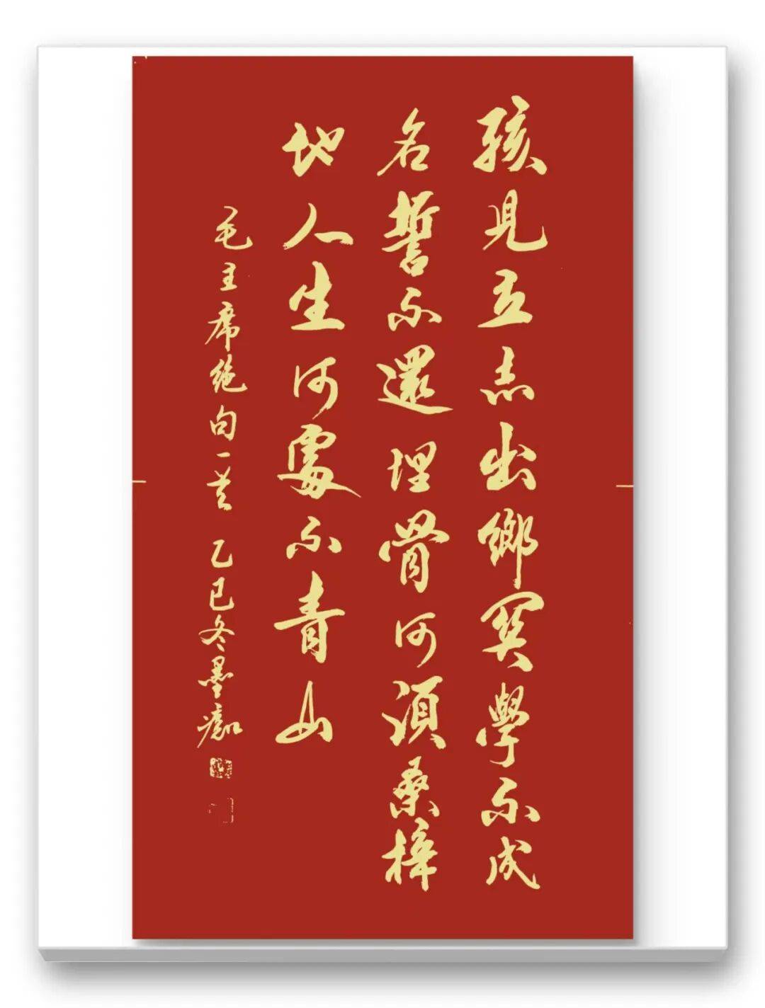 文章配图-8