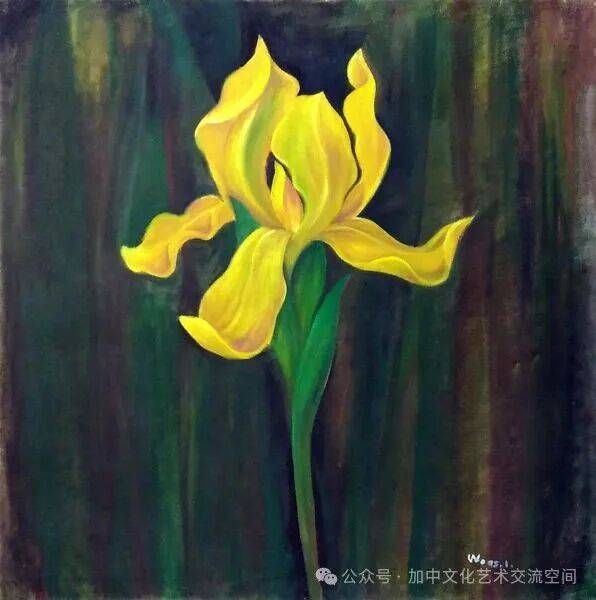 文章配图-1