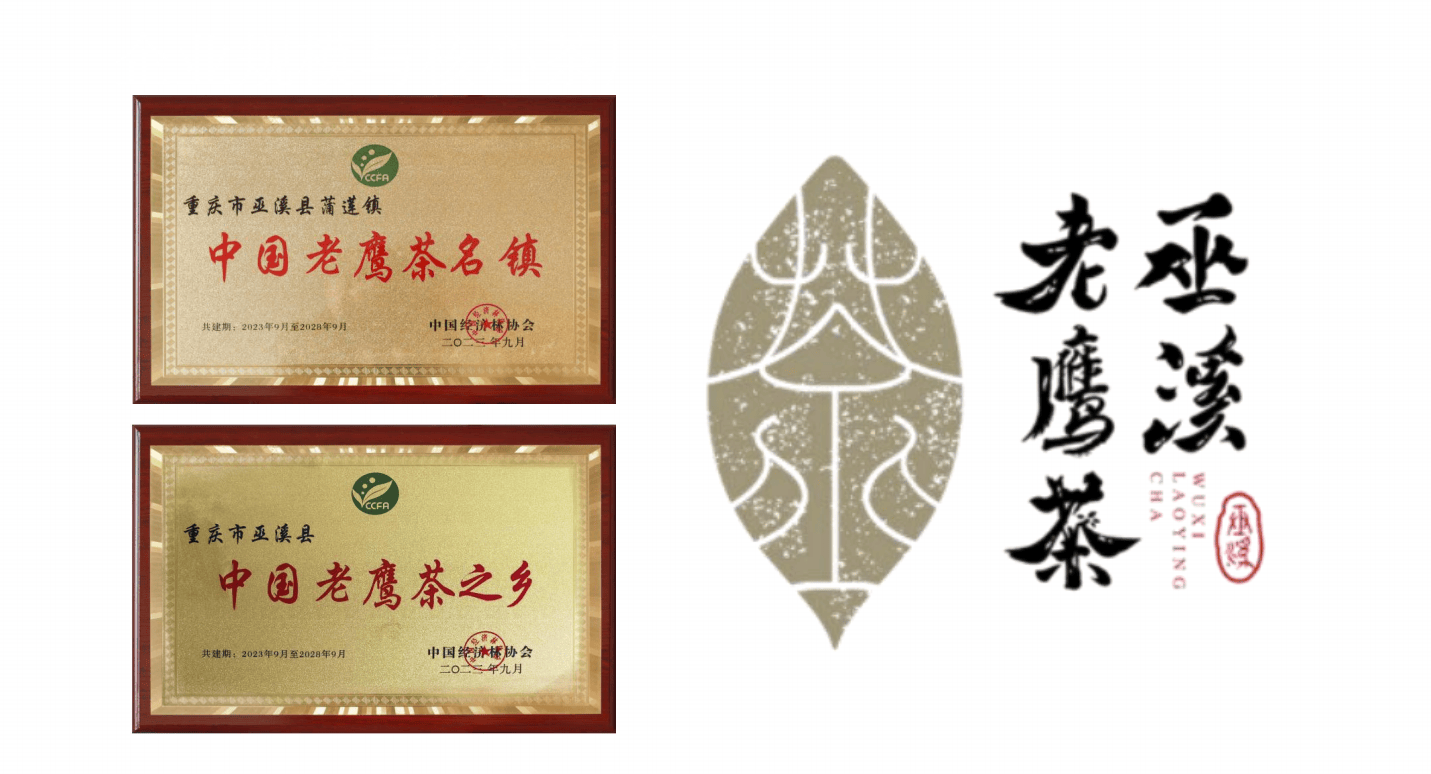 文章配圖-1