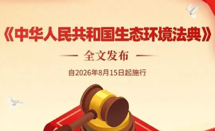 文章配图-3