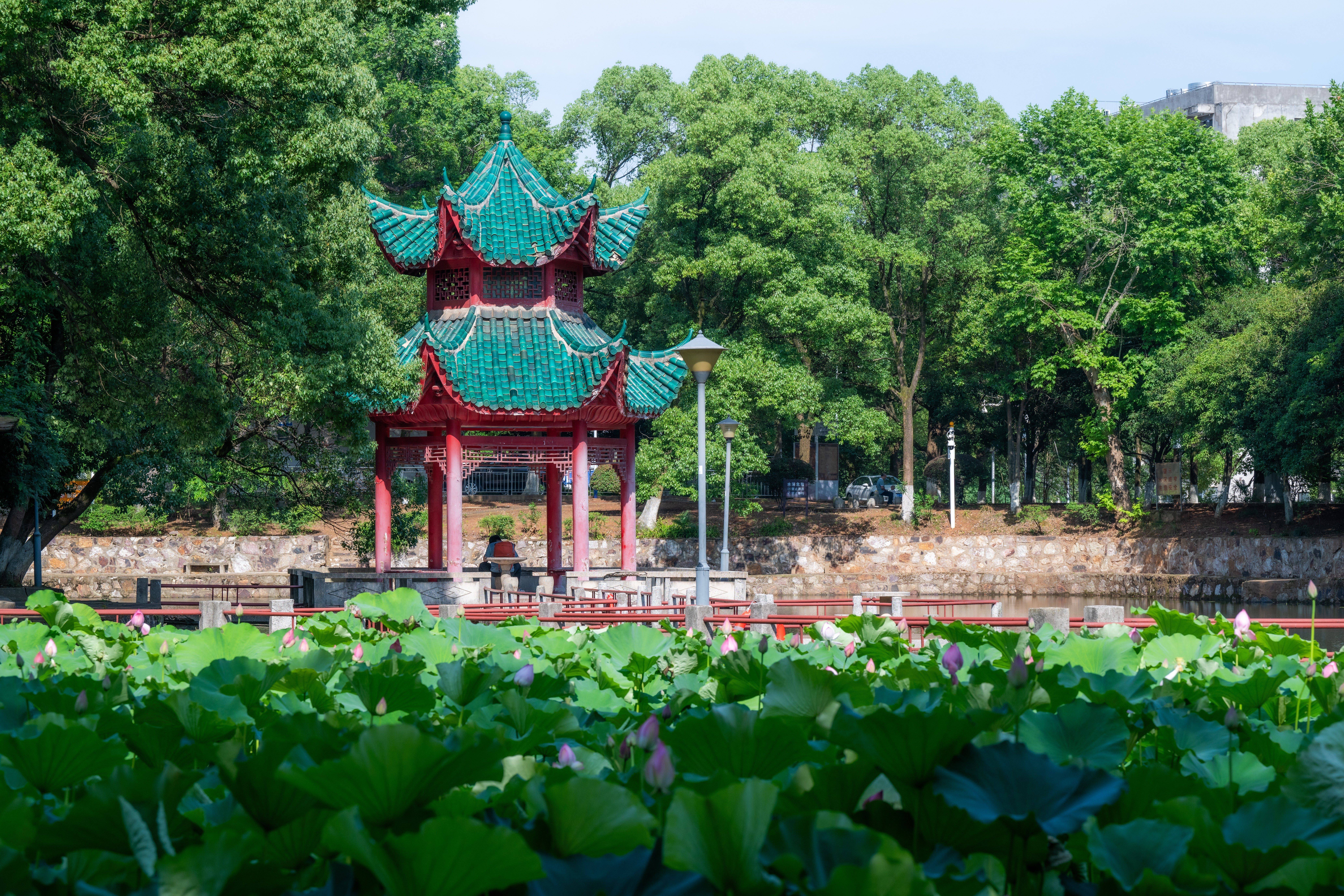 文章配图-1