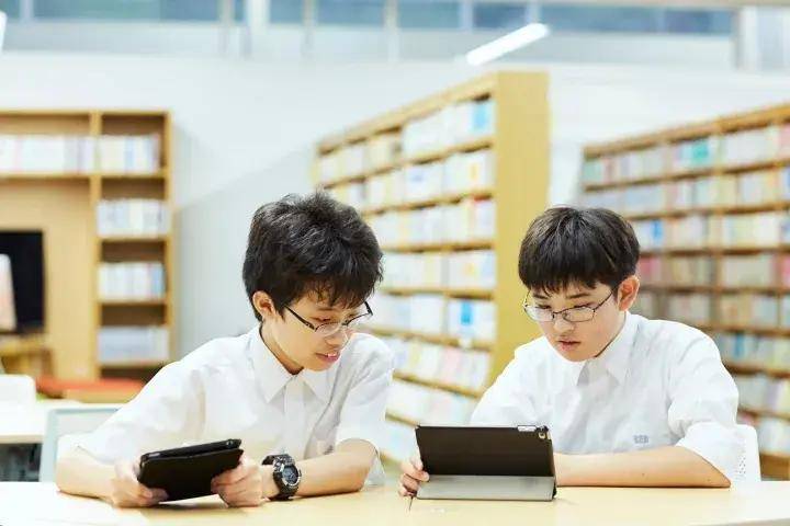 请输入图片描述