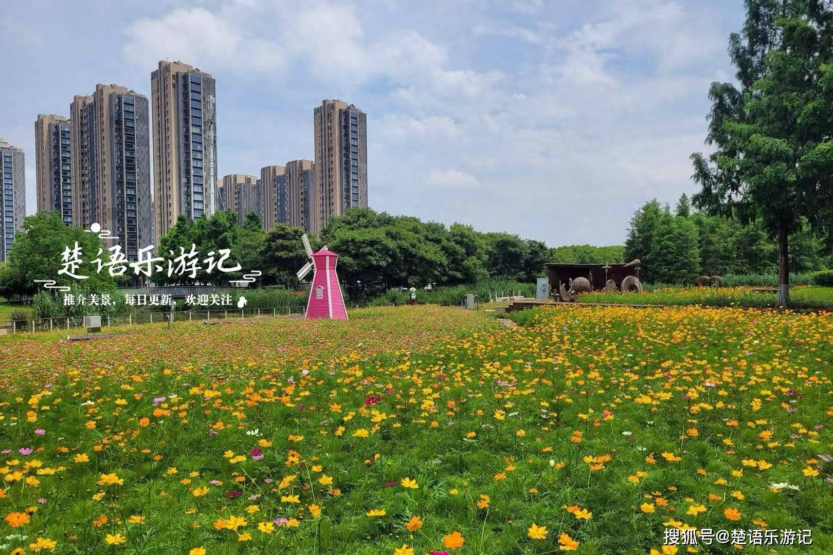 文章配图-1