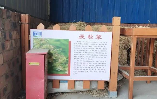沪宁携手深化产业对接 上海考察团莅临盐池鑫海集团考察调研并达成合作共识(图6) 沪宁携手深化产业对接 上海考察团莅临盐池鑫海集团考察调研并达成合作共识(图6)