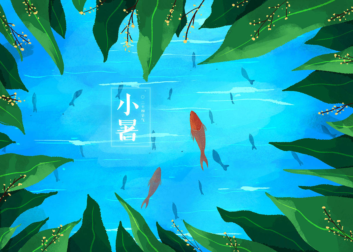 原创            “小暑吃4宝，长夏无病扰”，哪4宝？鲜美营养正当季，别不懂吃