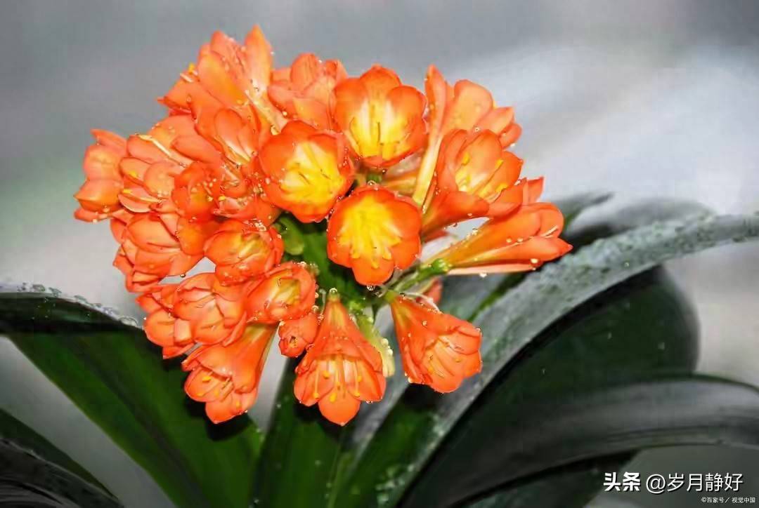 原创            成年人最好的自律就这6种表现，在快节奏里，养好自己