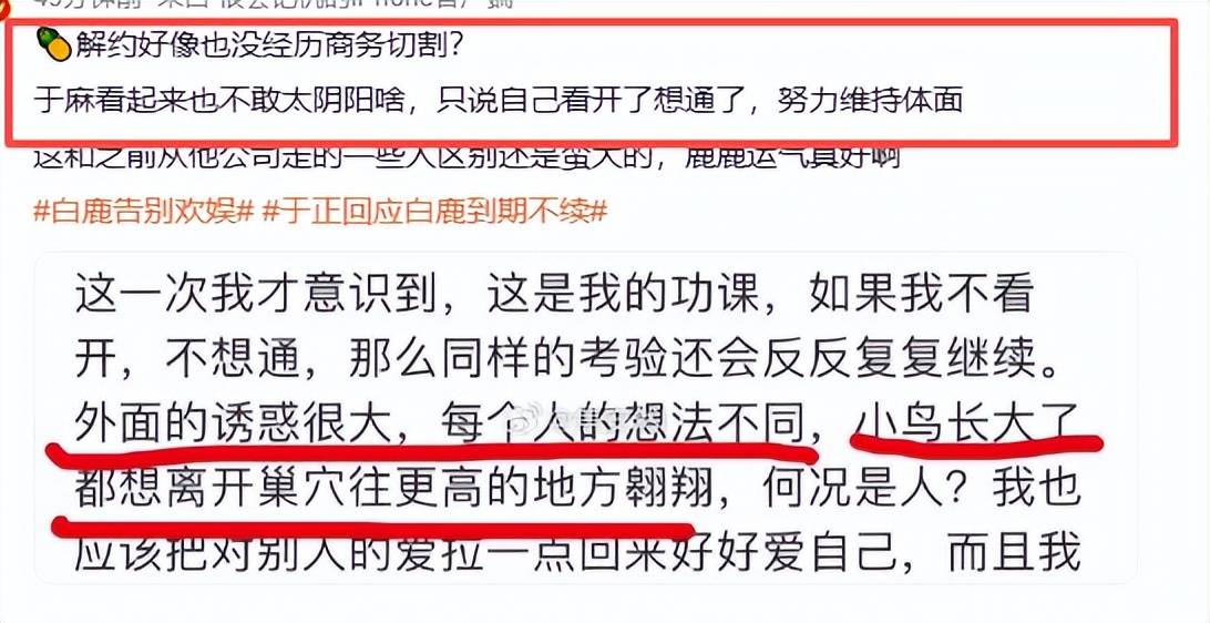 文章配图-2