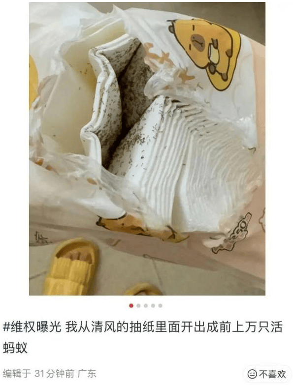 消费者称清风抽纸看到成千上万只活蚂蚁在爬行 回应称已和解(图2) 文章配图-1