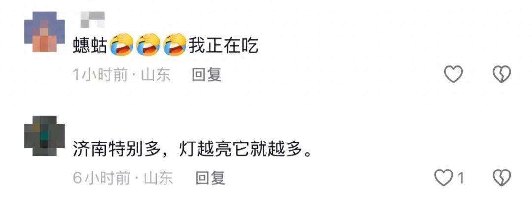 山东济南一广场突现“知了大军”密密麻麻，网友留言“你们咋不吃”
