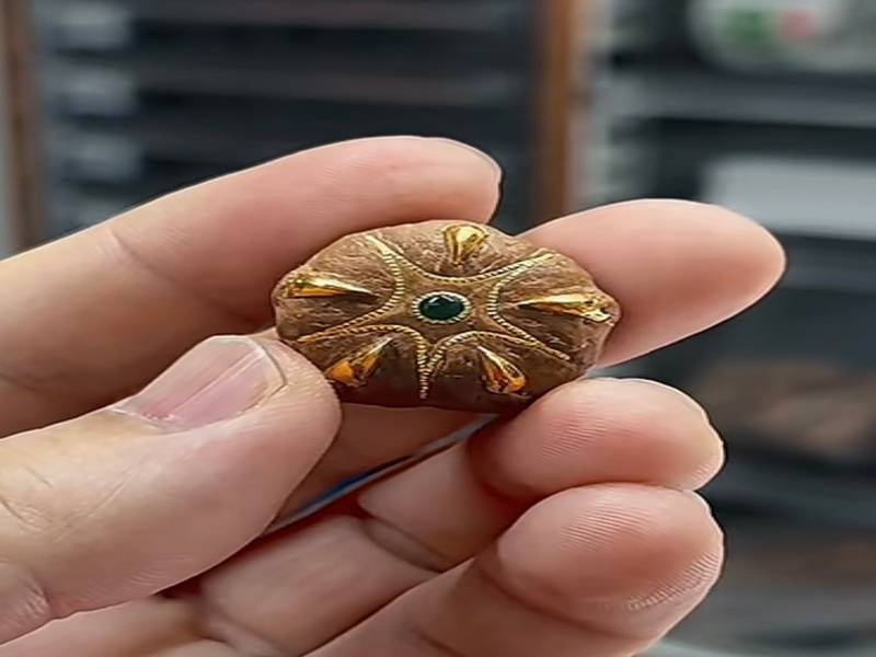 什么是五星菩提 文玩变异品类选购参考