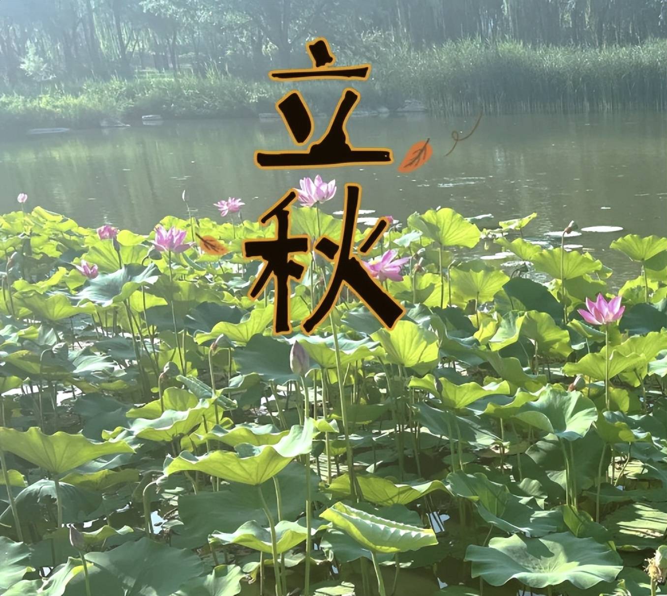 原创            今日立秋，脑梗患者谨记，早晨1大忌，中午2不要，晚上3不做