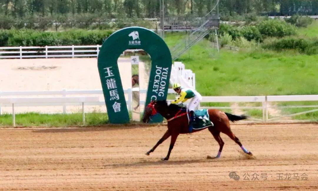 文章配图-2