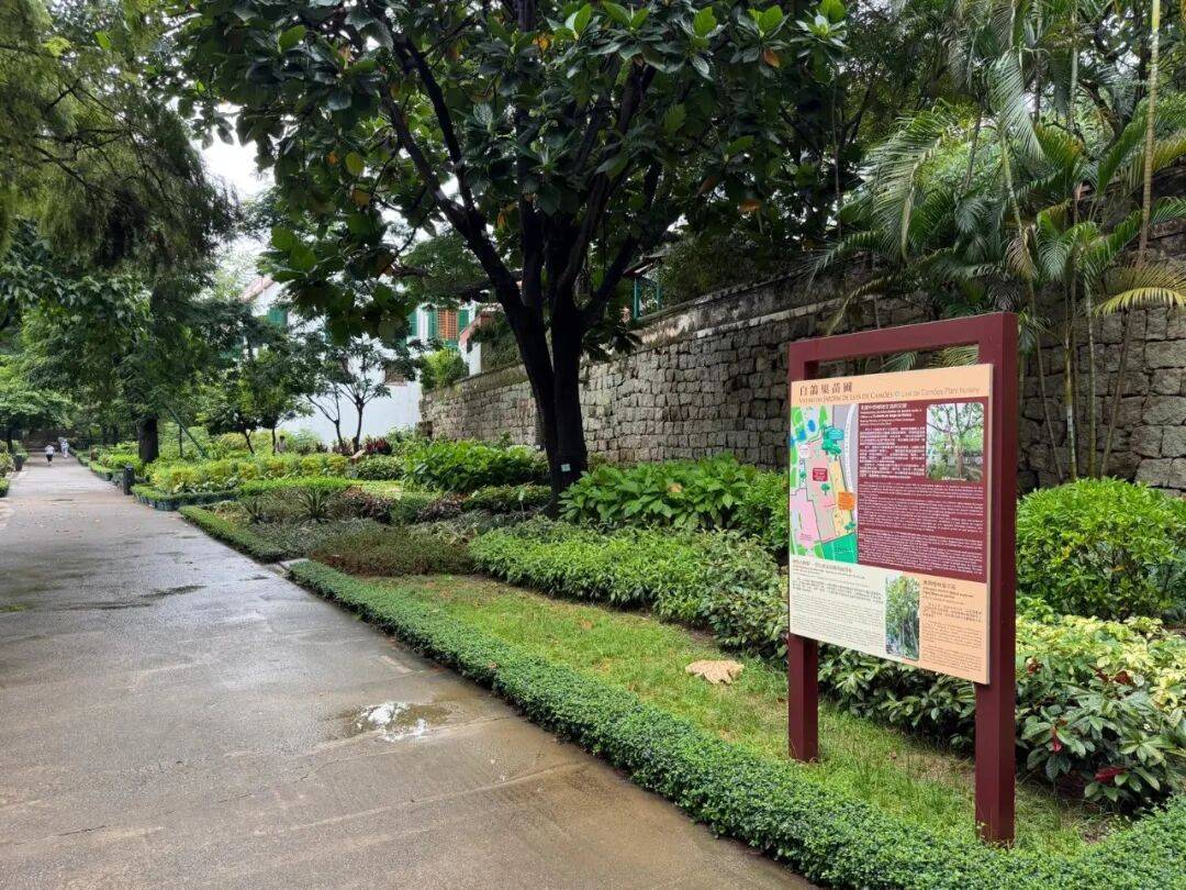 澳门白鸽巢公园生态环境优化 打造蝴蝶友善花园(图2)