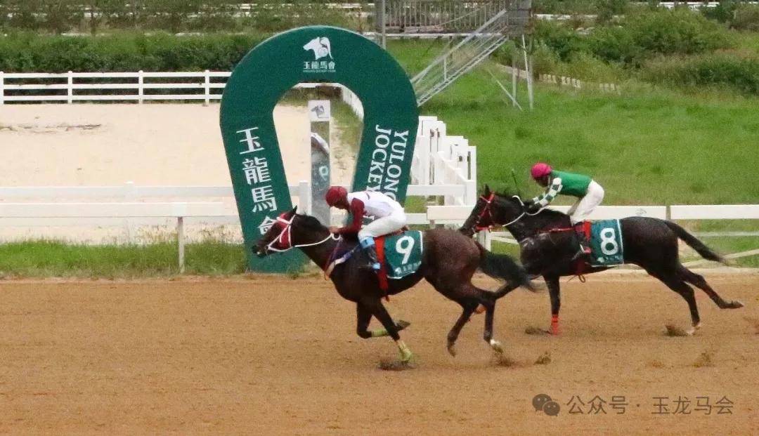 文章配图-1