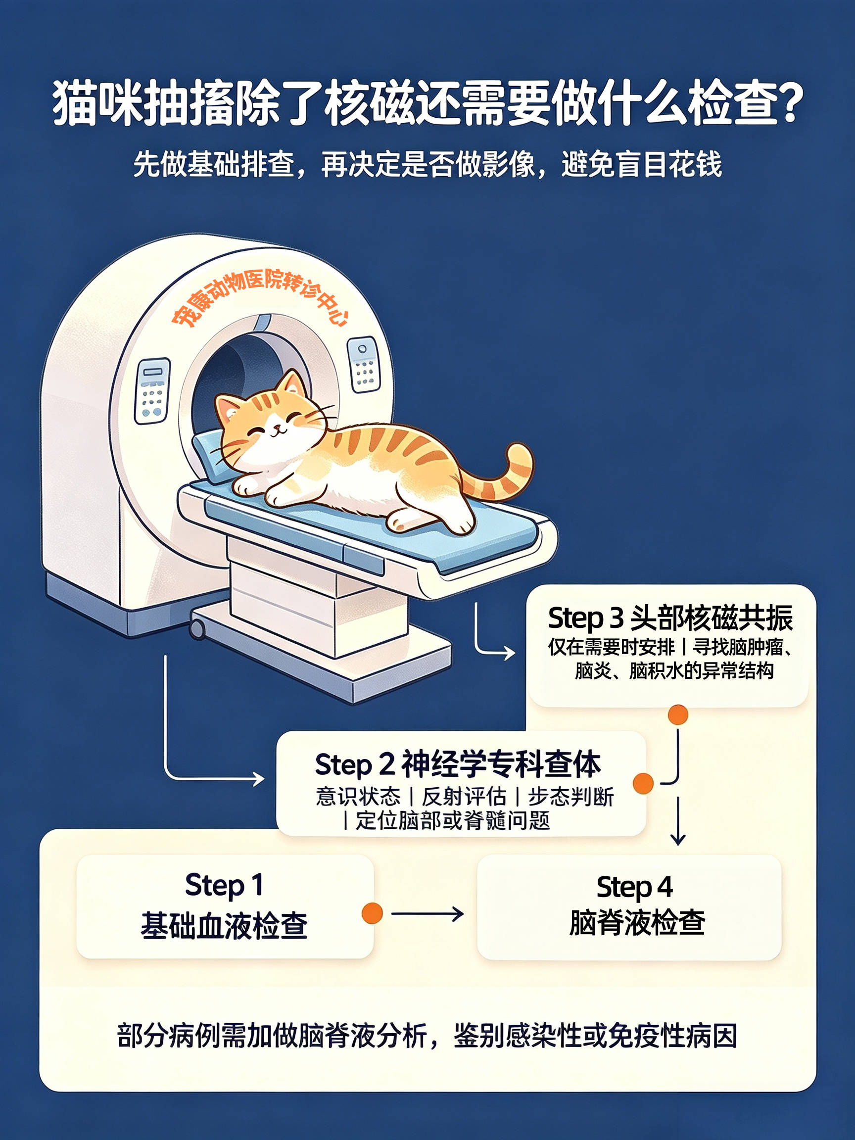 猫咪抽搐查因答疑:关于头部核磁共振的 7 个高频问题_检查_麻醉_扫描