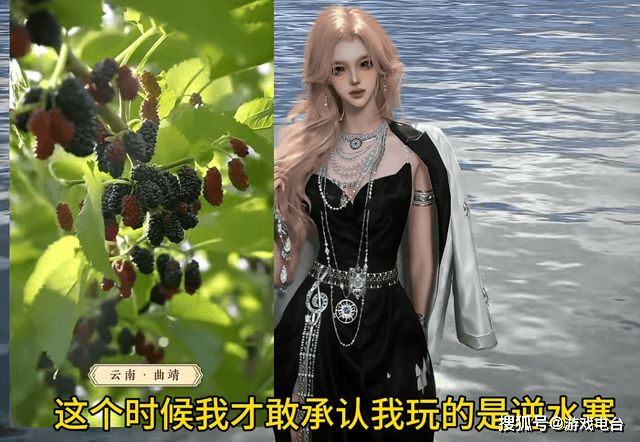 文章配图-2